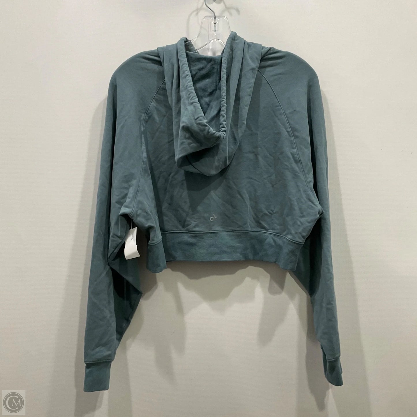 Athletic Sweatshirt Hoodie By Alo In Blue, Size: M