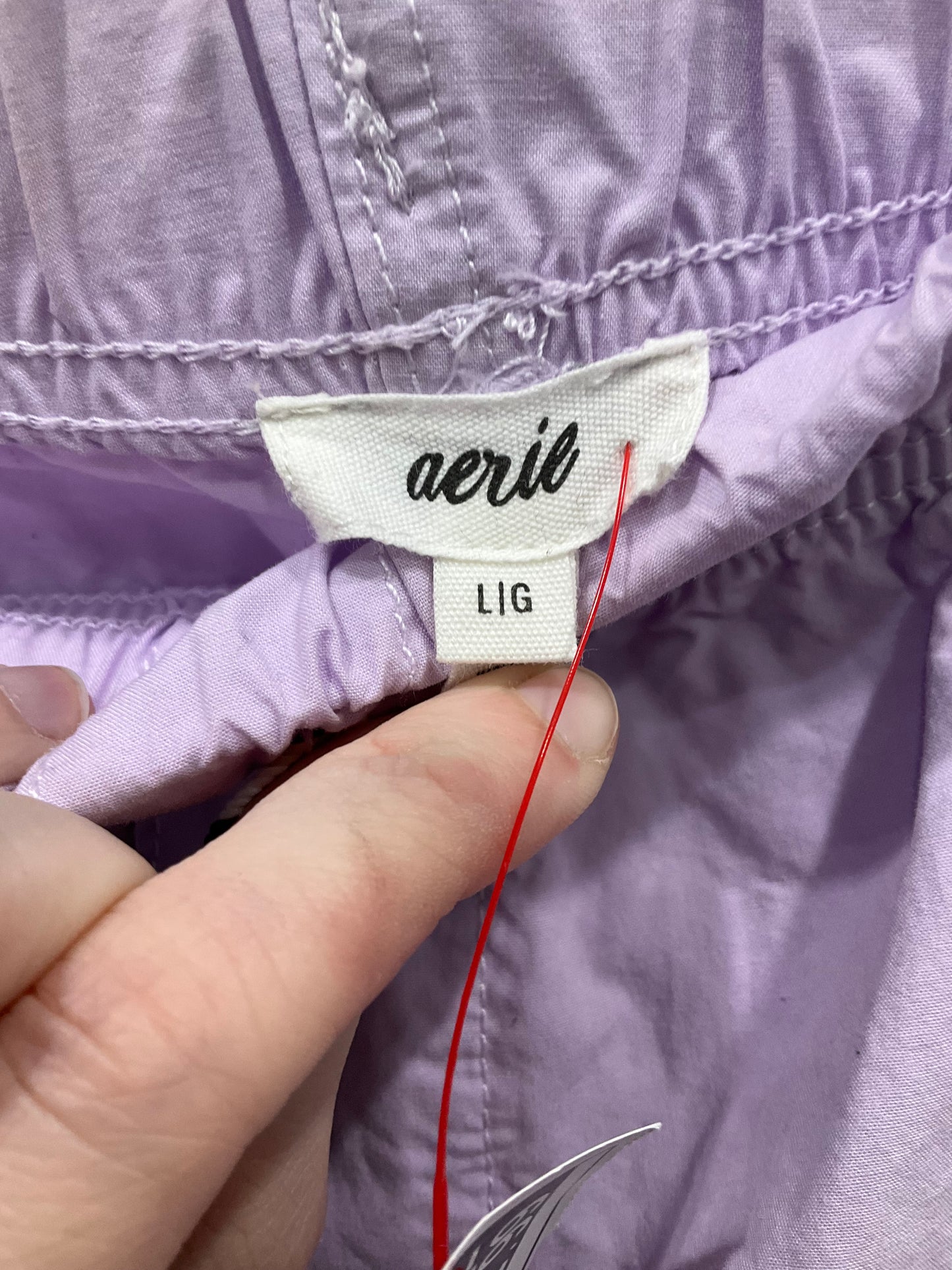 Pants Joggers By Aerie In Purple, Size: L