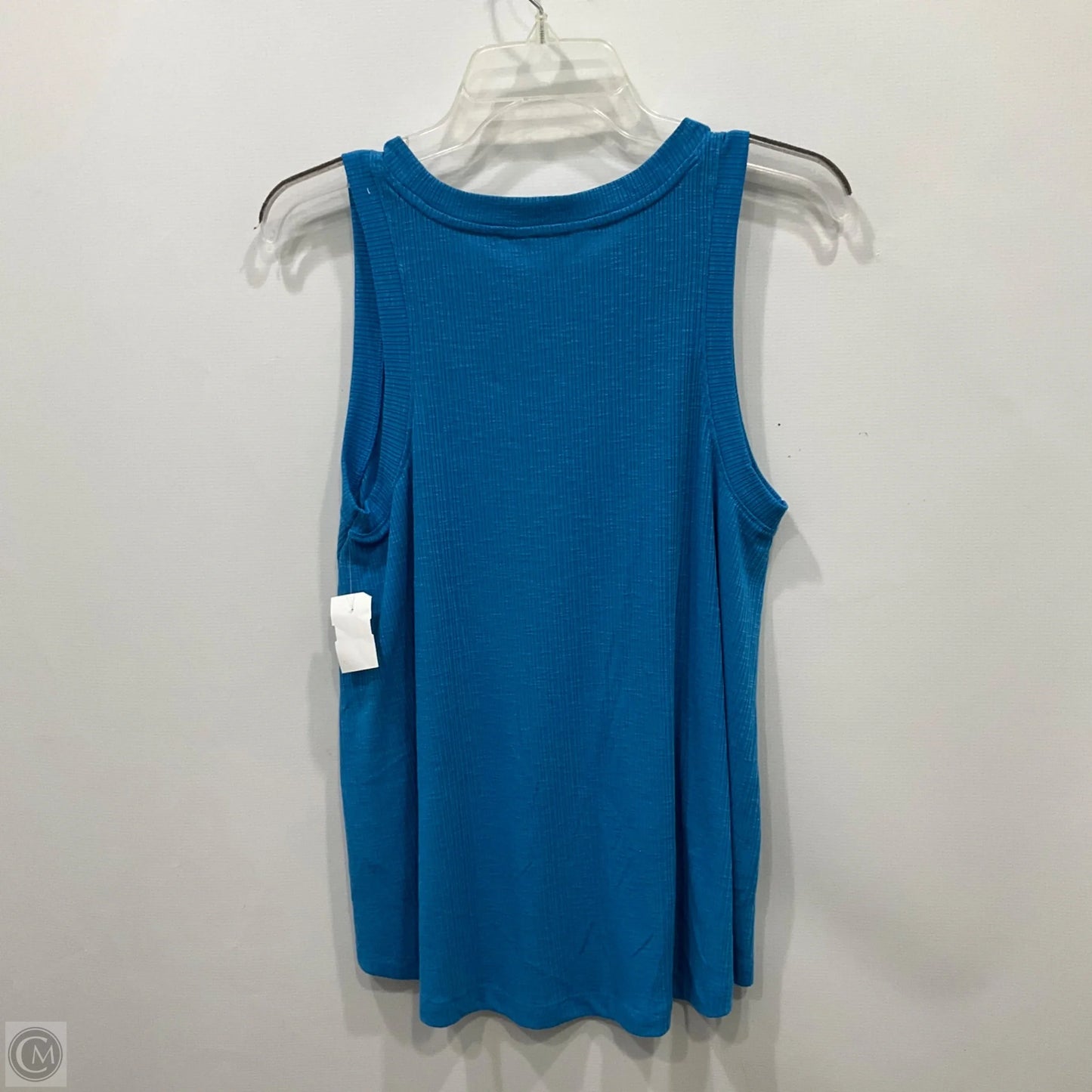 Top Sleeveless By Time And Tru In Blue, Size: S
