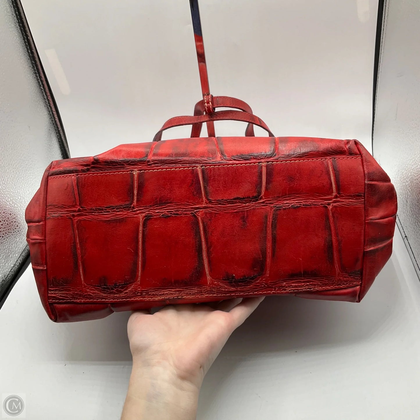 Handbag Designer By Dooney And Bourke, Size: Large