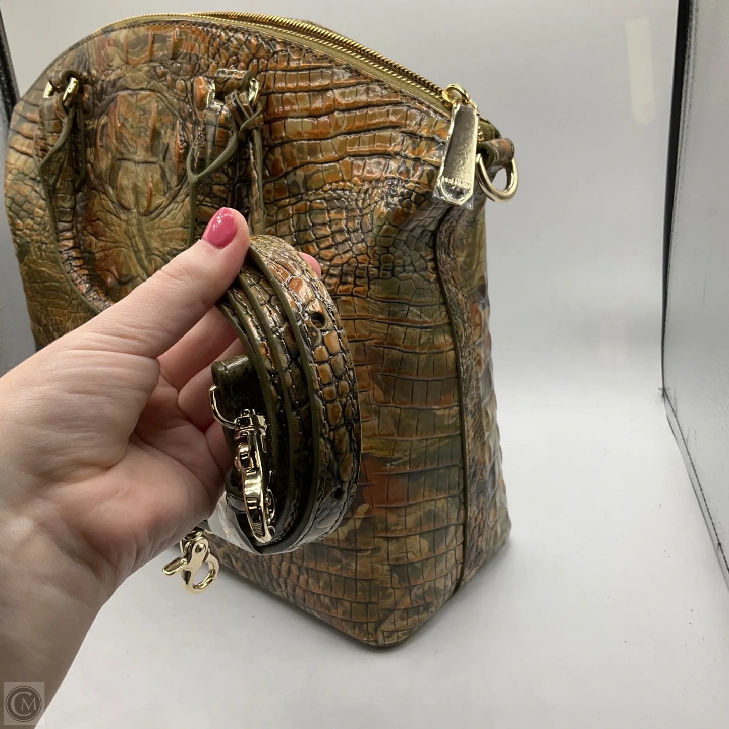 Crossbody Designer By Brahmin, Size: Large