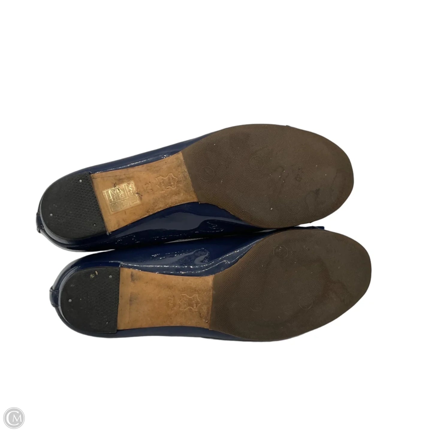 Shoes Designer By Tory Burch In Blue, Size: 7