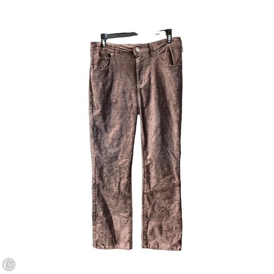 Pants Other By Free People In Brown, Size: 4