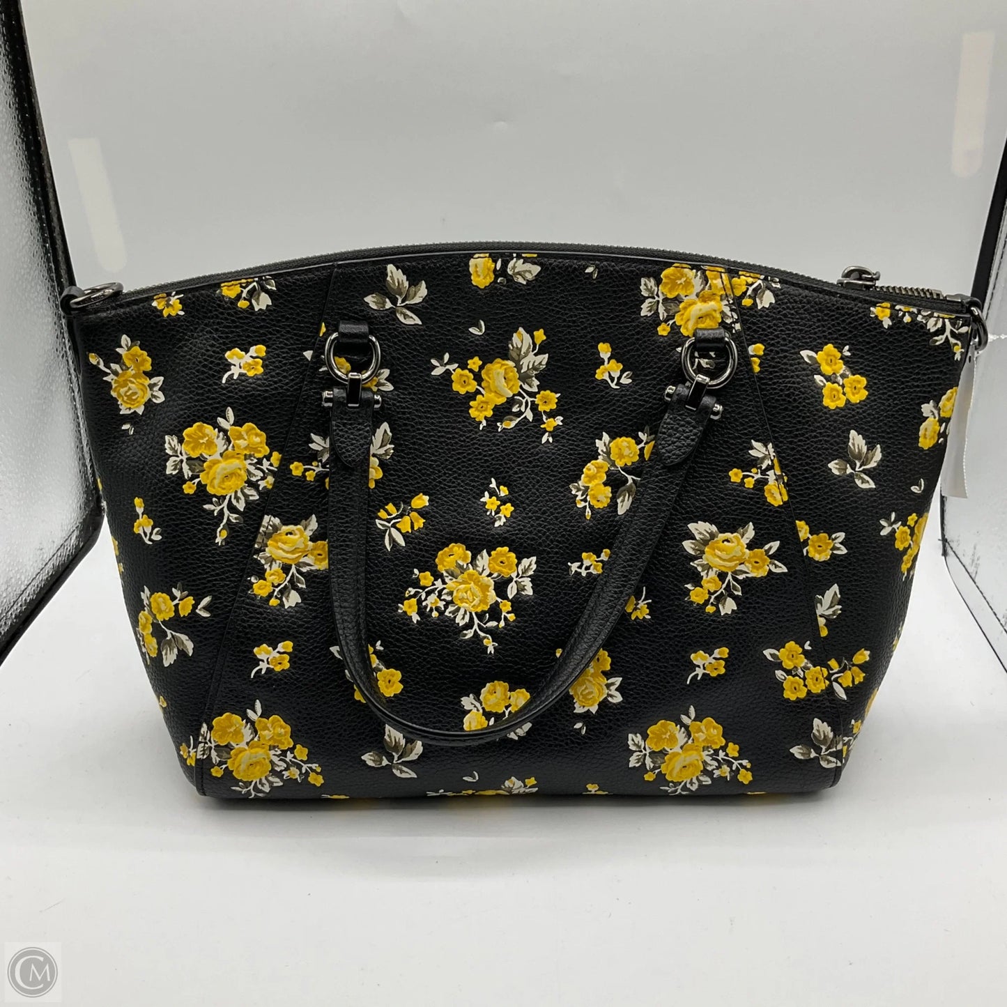 Crossbody Designer By Coach, Size: Medium