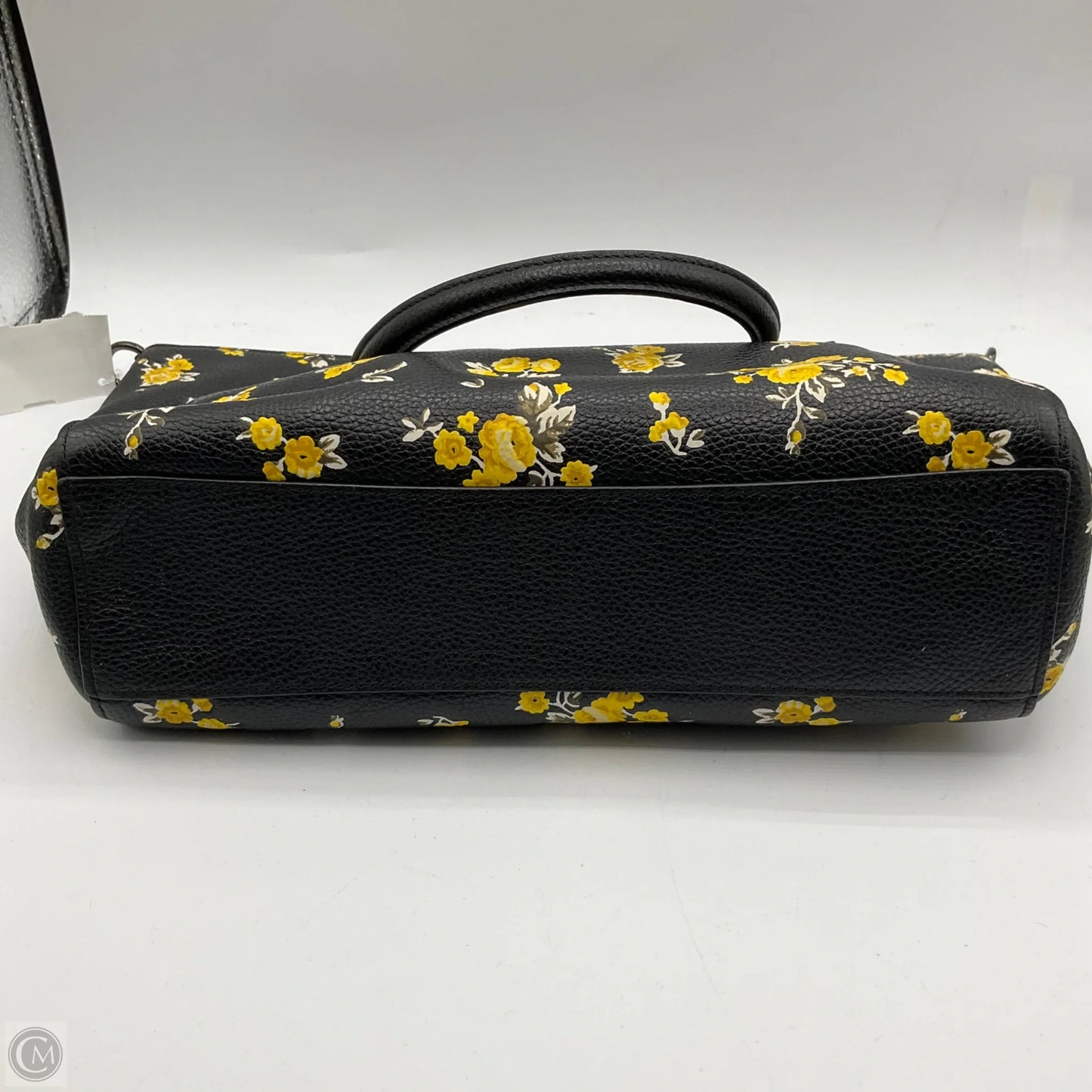 Crossbody Designer By Coach, Size: Medium