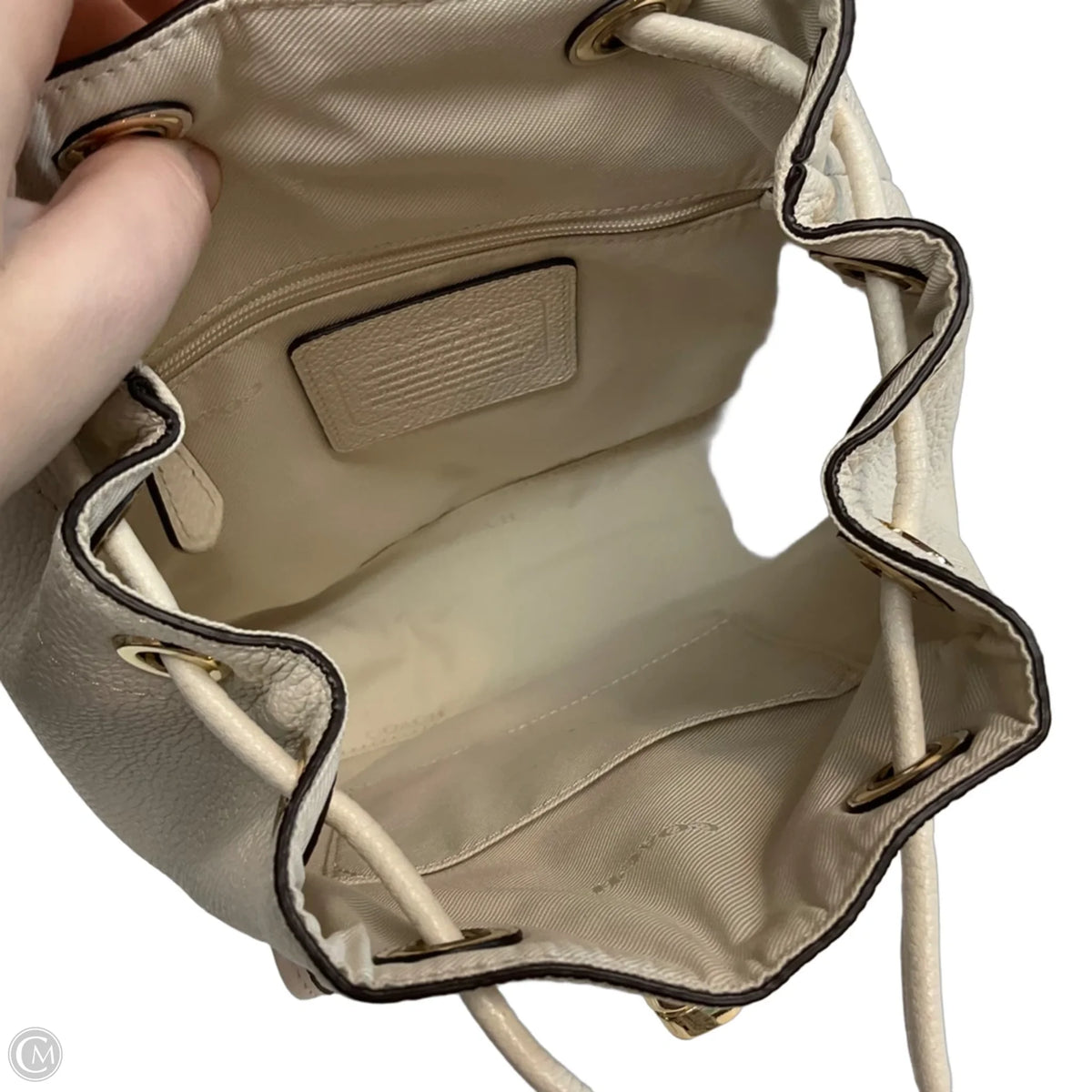 Backpack Designer By Coach, Size: Small