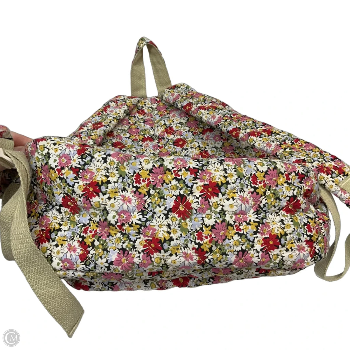 Backpack By Cmc, Size: Medium