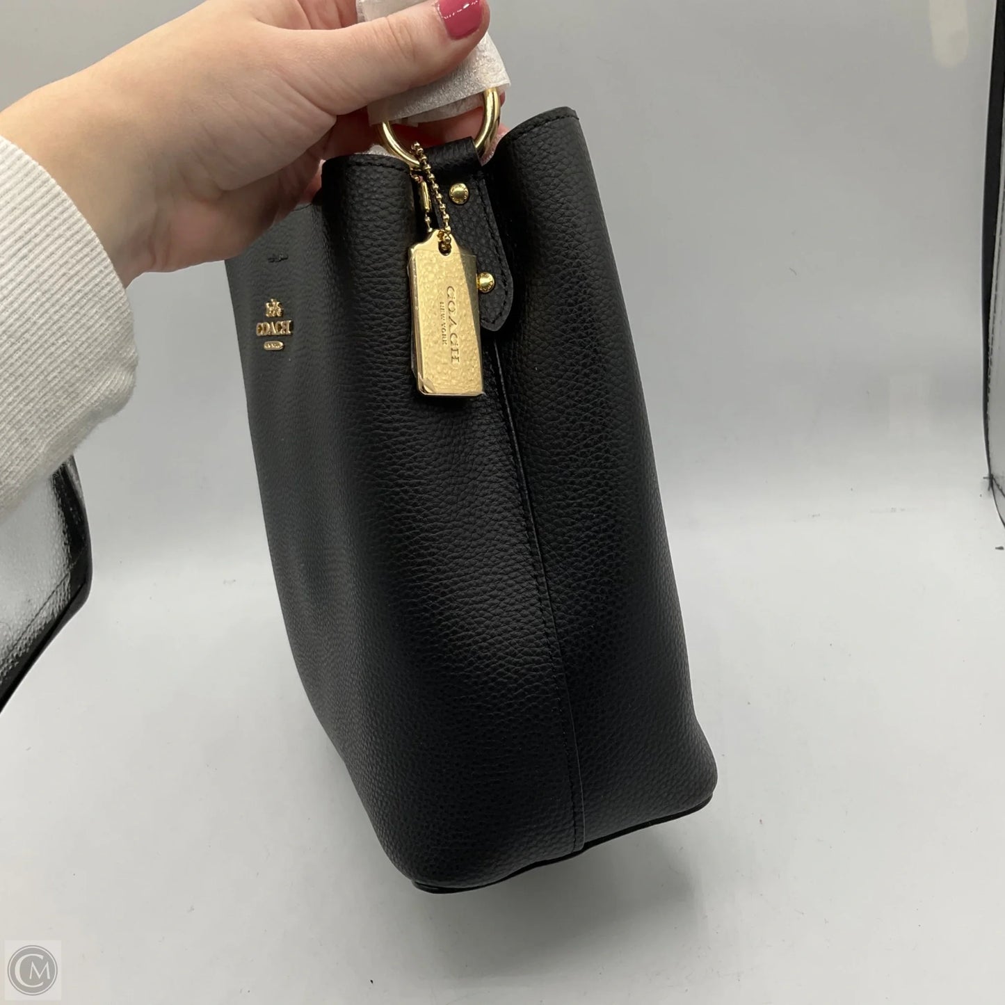 Crossbody Designer By Coach, Size: Small