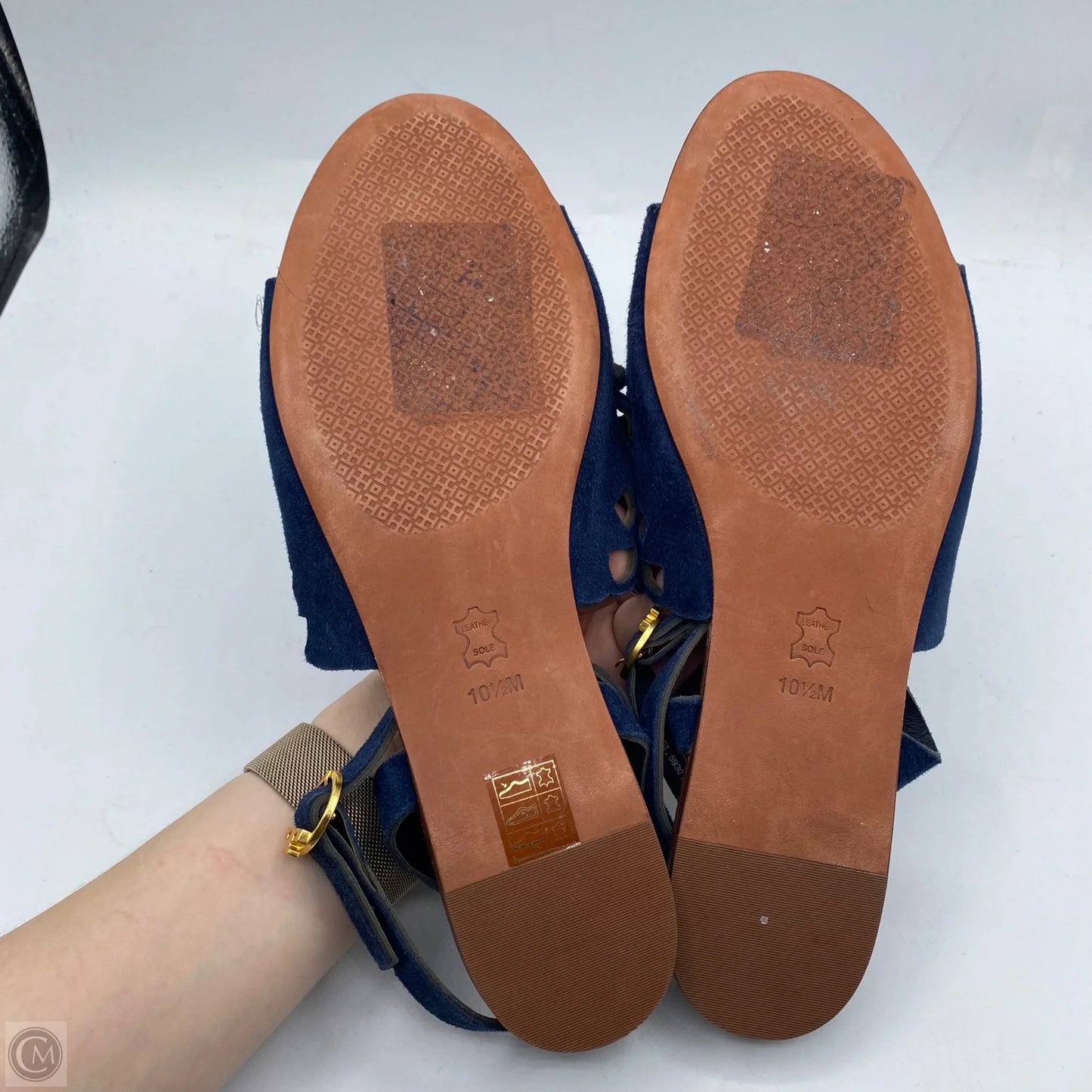 Sandals Designer By Tory Burch In Blue & Brown, Size: 10.5