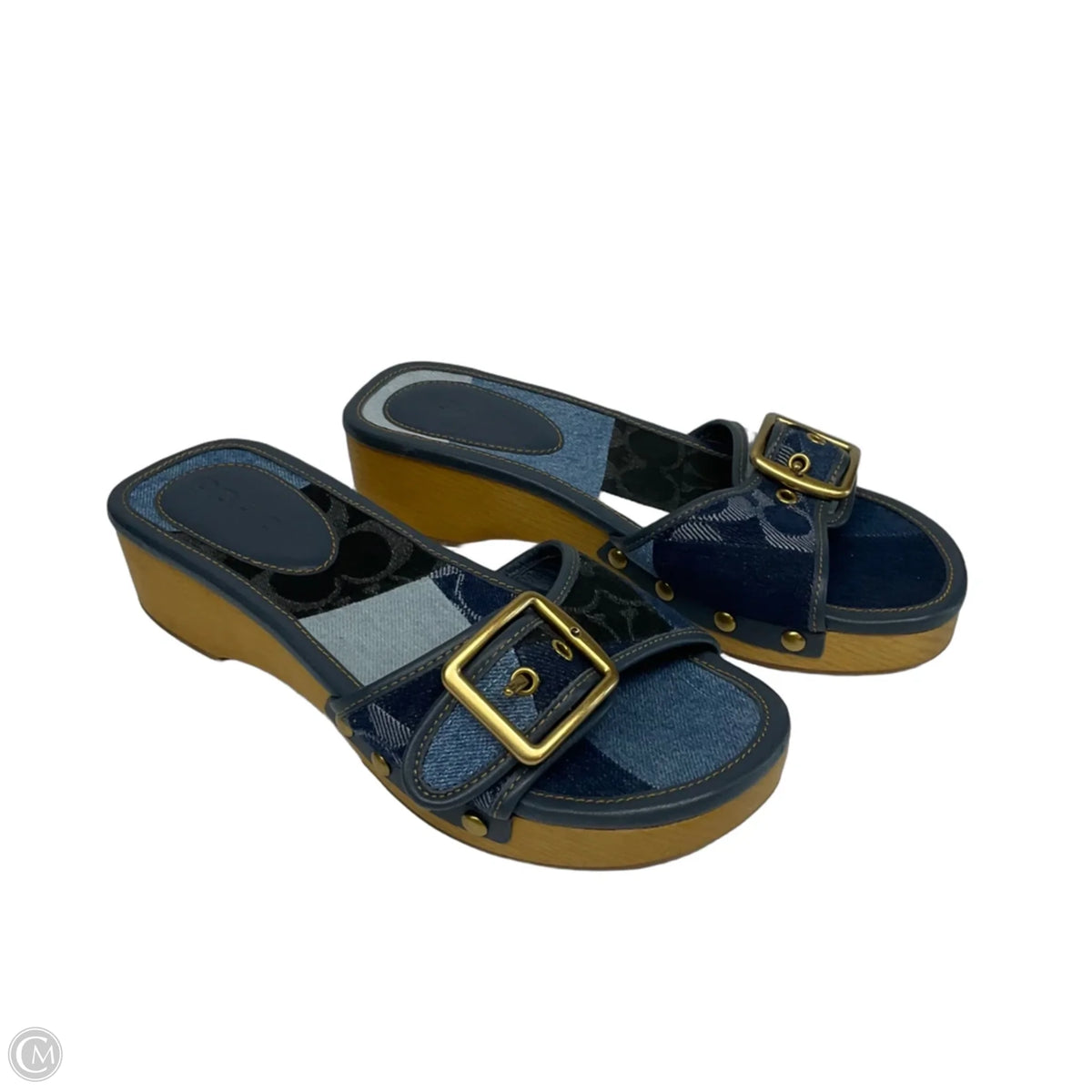 Shoes Designer By Coach, Size: 6