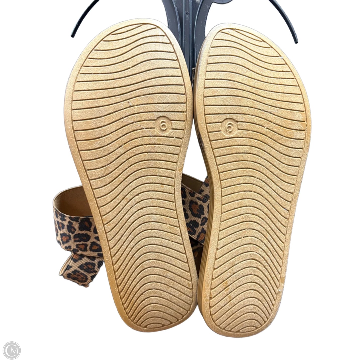 Sandals Flats By Steve Madden In Animal Print, Size: 6
