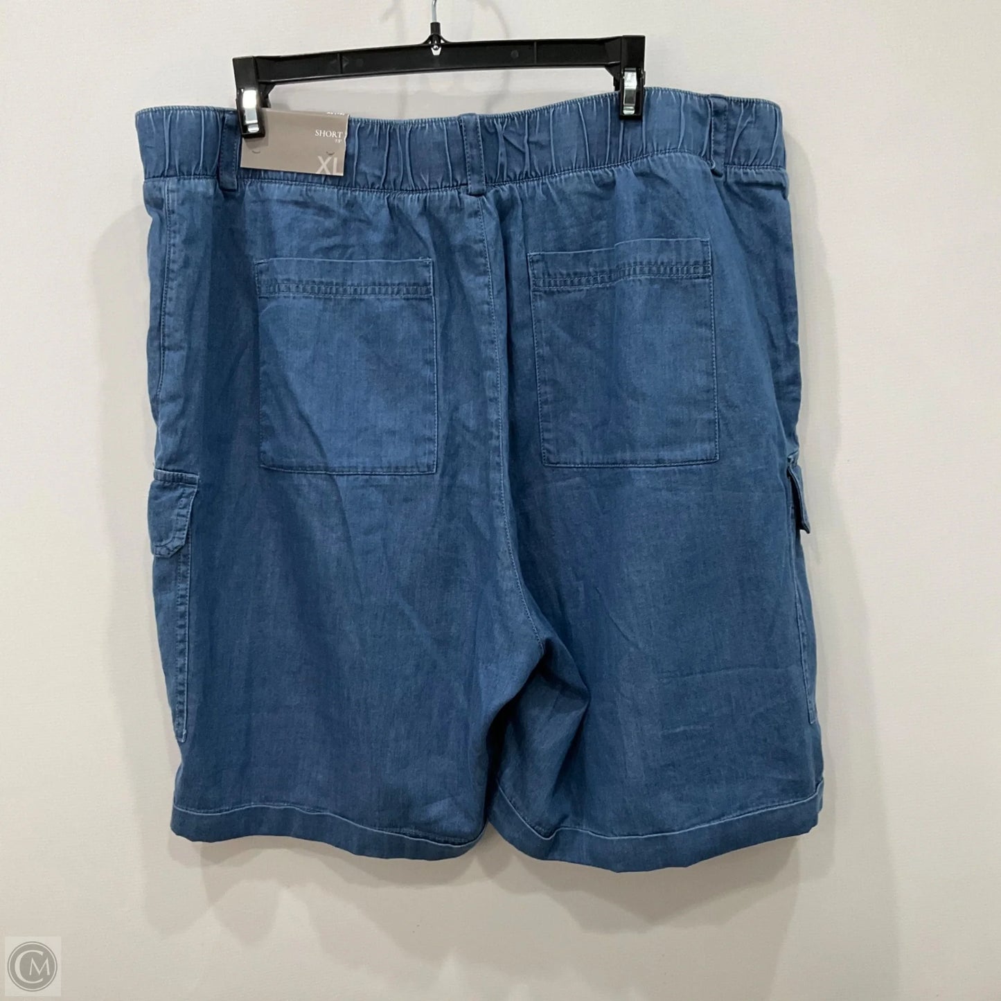 Shorts By Soft Surroundings In Blue, Size: Xl