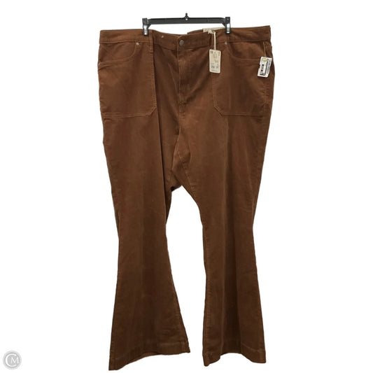 Pants Corduroy By Ana In Brown, Size: 24
