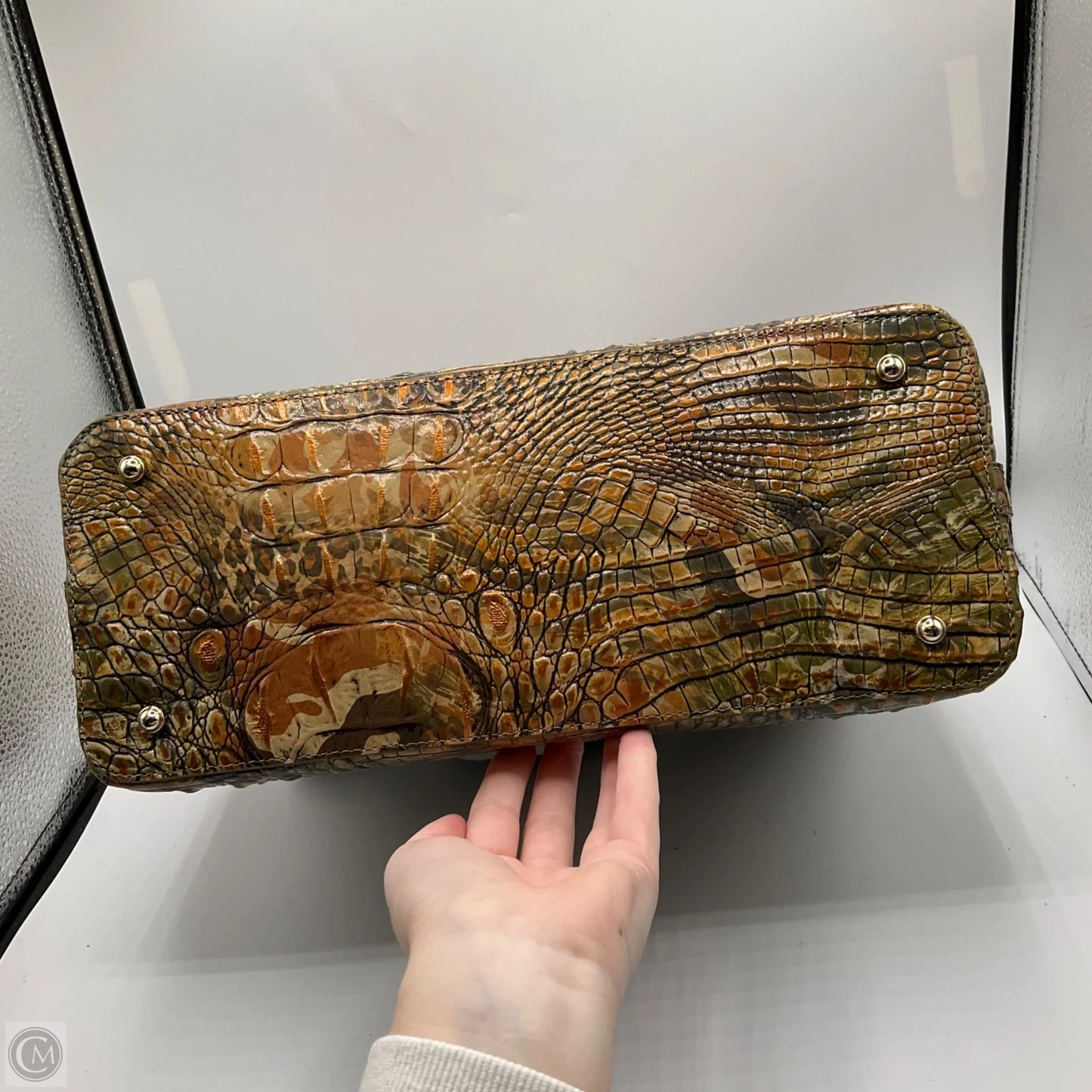 Crossbody Designer By Brahmin, Size: Large