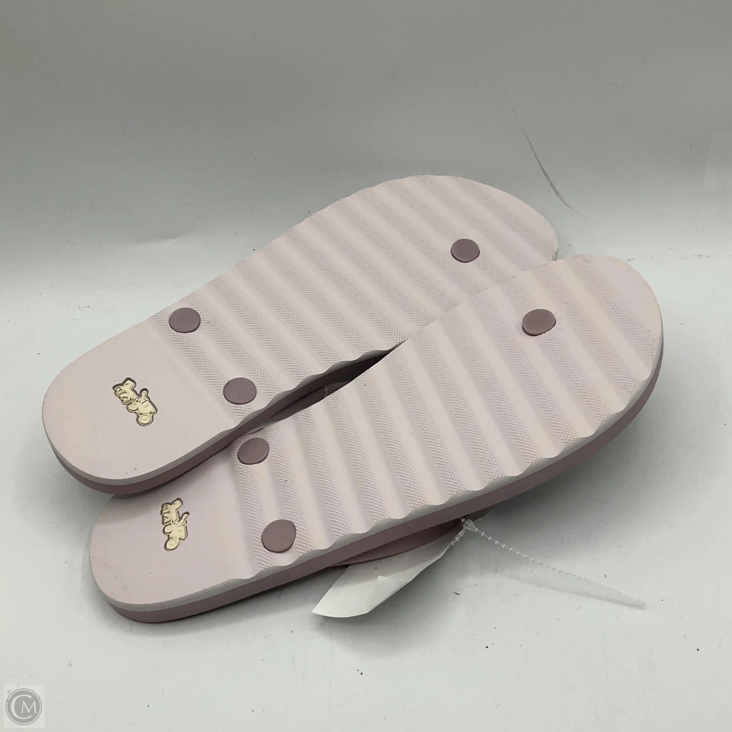 Sandals Designer By Coach In Purple, Size: 9